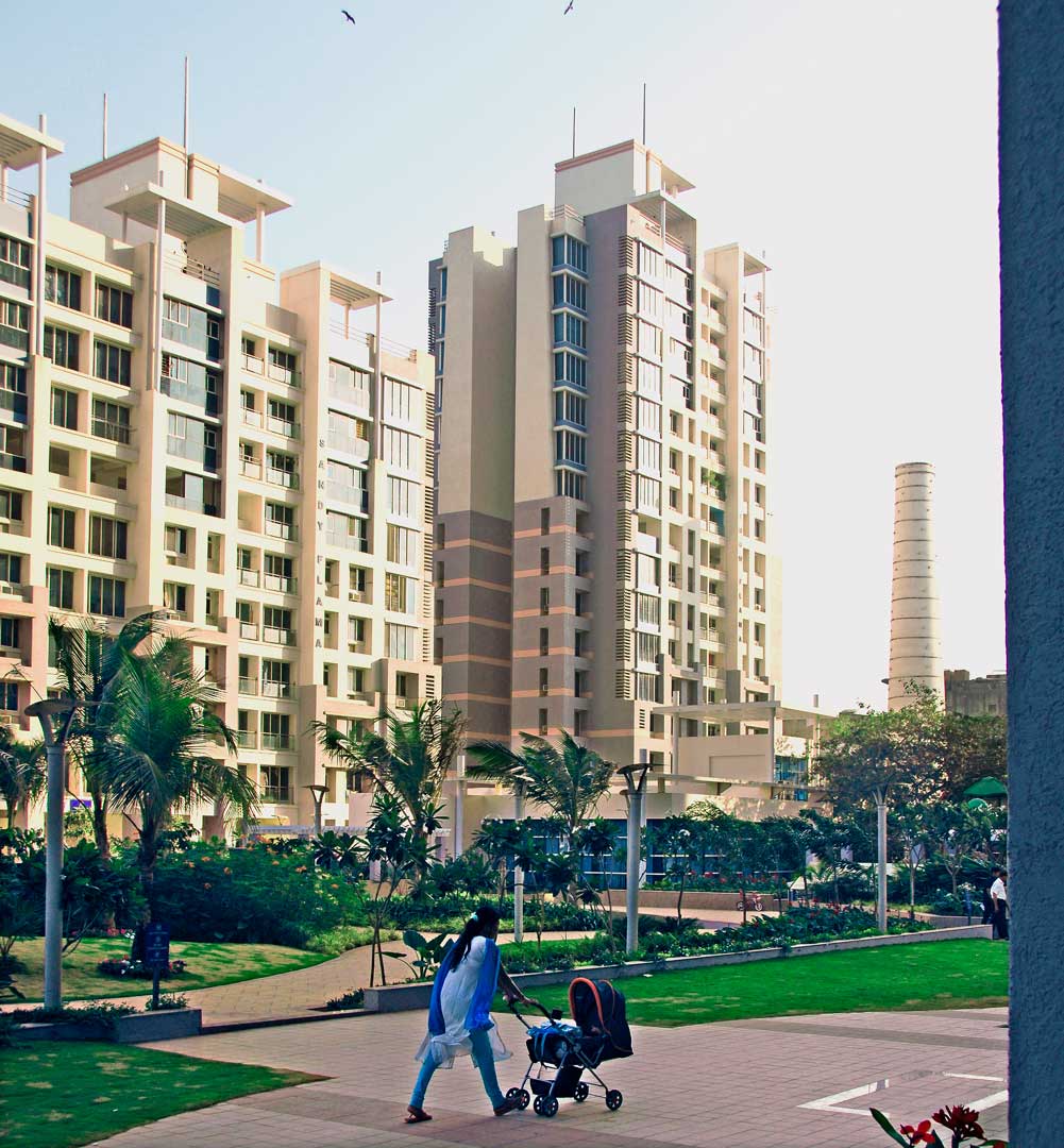 Dosti Flamingos 4